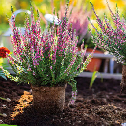 prospekt september bubblenavi s1 412x412